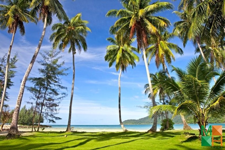 Tranh dán tường cho phòng khách đẹp tại Hà Nội NA - 267